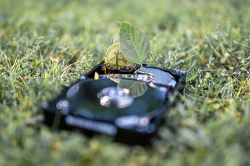 Hard disk drive with a bitcoin and a chia leaf on the grass