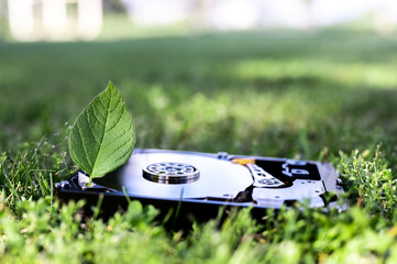 Hard disk drive with a chia leaf on the grass