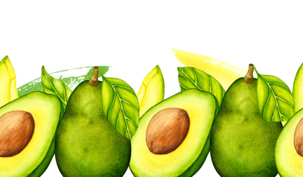 Avocado Seamless Border. Watercolor hand drawn botanical illustration. Vegetarian fruit. Half avocado. Slices of green avocado.