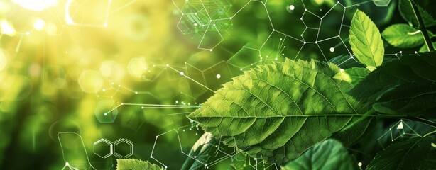 Close-up of lush green leaf with sunlight and scientific symbols in nature