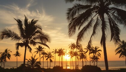 Obraz premium Tropical sunset silhouette with palm trees