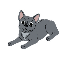 Dog in motion. Different canine breeds. Active puppies labrador retriever, beagle, shih tzu, chihuahua, bulldog shepherd and pug. Flat vector illustrations isolated on white background