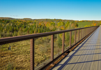Bridge overlooking landscape with trees in autumn