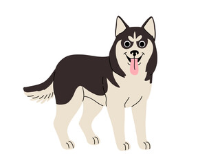 cartoon Dog in motion. Different canine breeds. Active puppies siberian husky, jack russell terrier, cocker spaniel, miniature poodle, shar pei, bishon frize. Flat vector illustration