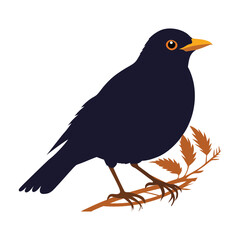 Blackbird standing on a branch