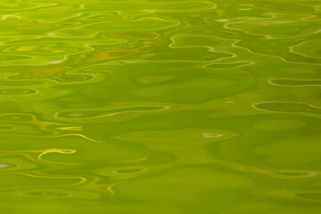 Abstract green water texture as background. Natural texture. Abstract colorful background. To add text. Abstract photo background. Close-up. Graphic design.