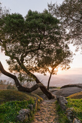 Montanhas Majestosas: A Grandeza dos Picos e Vales