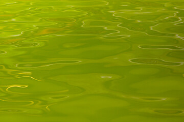 Abstract green water texture as background. Natural texture. To add text. Abstract photo background. Close-up. Graphic design.Natural texture. Abstract colorful background. For adding text. 