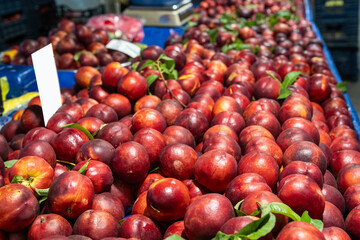 Red nectarine fruits on the market stall.