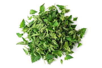 A pile of fresh green leaves sits atop a clean white surface