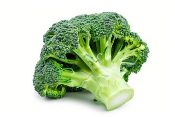 Close-up of fresh broccoli head isolated on a white background.