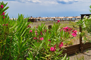 Ulcinj