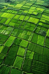 An aerial view of a lush and well-manicured field of green grass