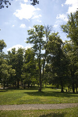 Castle park with mature green trees on a sunny day. Park, sky with white clouds. Trees and grass bathed in sunlight. A sidewalk in the foreground.