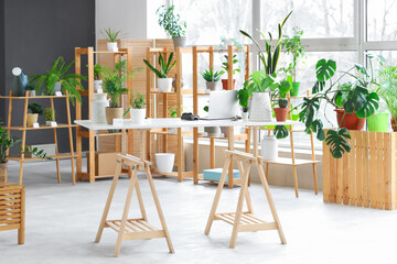 Interior of flower shop with table and plants