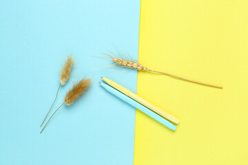 Pens with lagurus and wheat spikelet on colorful background
