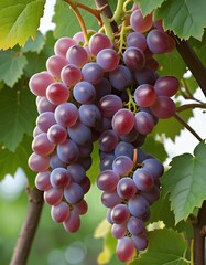 Bountiful Bounty: A Celebration of Nature's Gifts