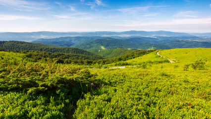 alpine scenery of carpathian mountain in summer. grassy meadows and forested slopes. road winding down the rolling hill in to the distant valley. sunny weather