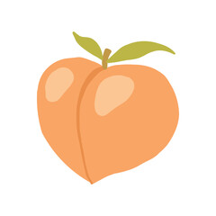 Illustration of a fresh peach with leaves, depicting a simple and vibrant summer fruit on white.