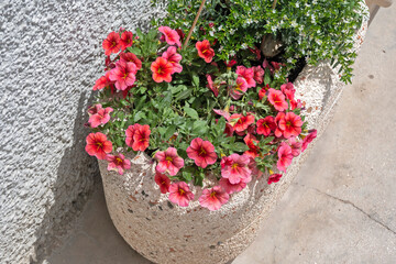 The Old town of Alberobello, Apulia Region, Italy
