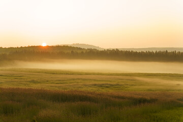 Golden Mist Envelops the Forest at Sunrise