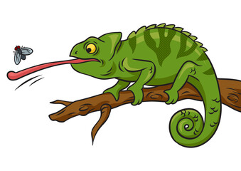 chameleon catches fly with its tongue pop art retro PNG illustration. Comic book style imitation.