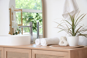 Stylish interior of modern bathroom with houseplant, closeup