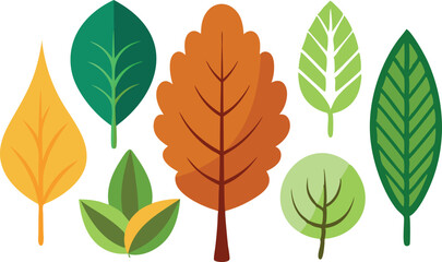 Beautiful vector illustration featuring an assortment of leaves in various shapes and colors, perfect for autumn and nature themes.
