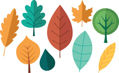 Fototapeta premium Vector illustration featuring vibrant autumn leaves in various shapes and colors, highlighting the beauty and diversity of fall foliage.
