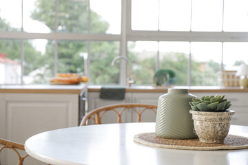 Plant with vase on dining table in kitchen, closeup