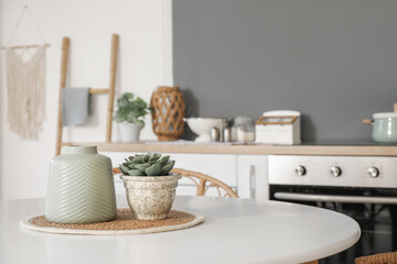 Plant with vase on dining table in kitchen, closeup