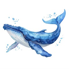 blue whale Classic fashion cartoon isolated whitebackground