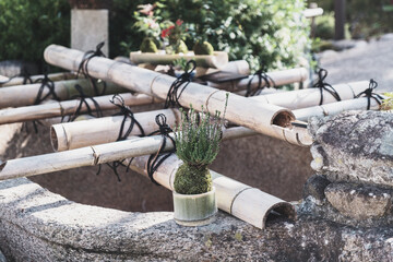 Historic temples and shrines that herald the arrival of autumn【Hase-dera Temple】