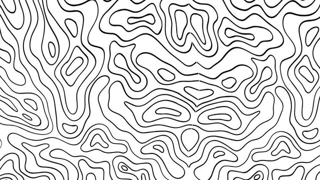 contours Geographic mountain topography vector illustration, Topographic pattern texture, Map on land vector terrain. Elevation graphic contour height lines, Topographic map, 4k animation background