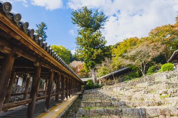 Historic temples and shrines that herald the arrival of autumn【Hase-dera Temple】