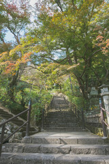 Historic temples and shrines that herald the arrival of autumn【Hase-dera Temple】