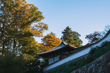 Historic temples and shrines that herald the arrival of autumn【Hase-dera Temple】