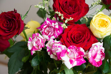 カラフルな薔薇
