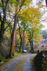 A temple with beautiful autumn foliage nestled deep in the mountains of Kyoto【Amidaji Temple】