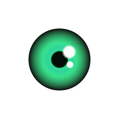 Eye iris in green color