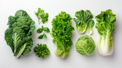 4. Fresh green leafy vegetables spread out on a white background