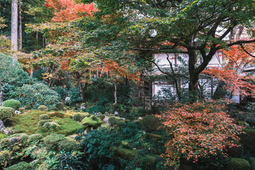 A famous spot for viewing autumn leaves in Kyoto【Sanzen-in Temple】