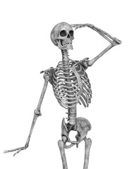 skeleton is looking up