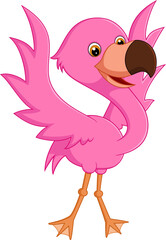 Flamingo dance captivates with grace, elegance, and beauty