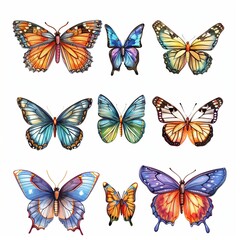 Colorful Butterfly Illustrations Collection for Nature and Craft Projects