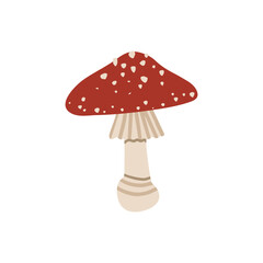 Vector isolated element. Amanita. Mushrooms. Autumn time. Halloween. Color image on a white background. The print is used for packaging design.