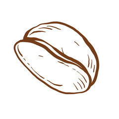 Coffee bean hand drawn outline doodle icon