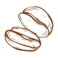 Coffee beans hand drawn outline doodle icon