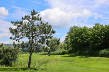 Obraz premium North america summer garden landscape Montreal Quebec province Canada