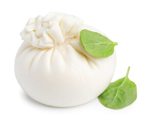 Fresh delicious burrata cheese and basil isolated on white